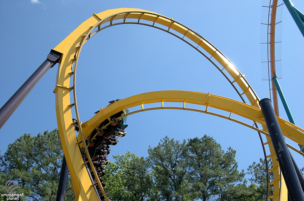 Georgia Scorcher