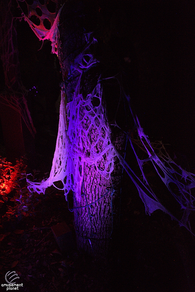 Fright Fest 2022
