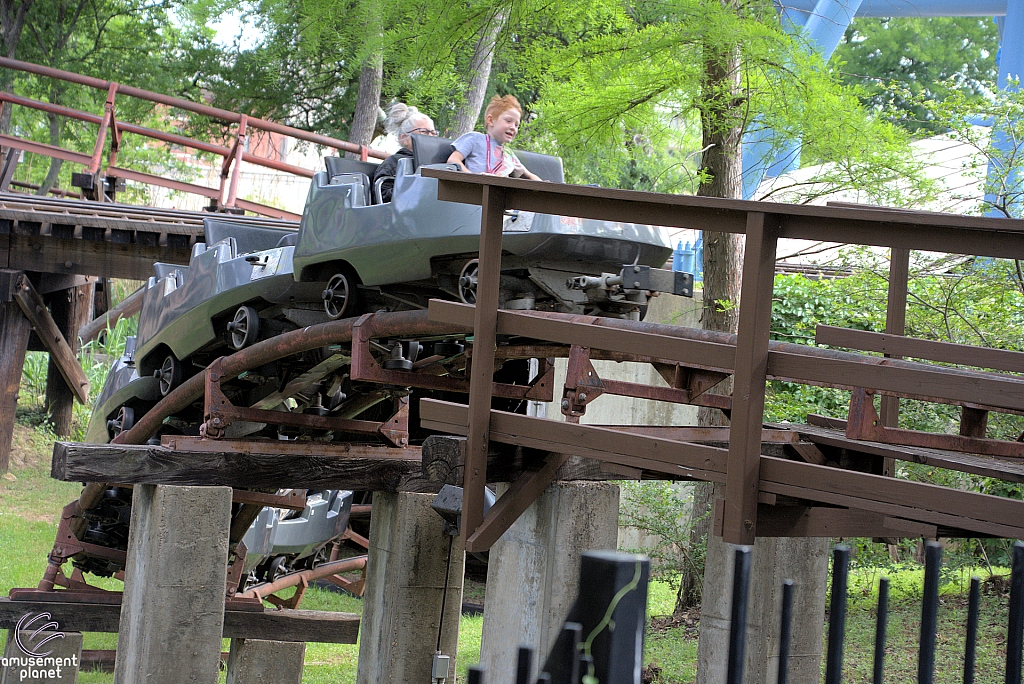 Mini Mine Train