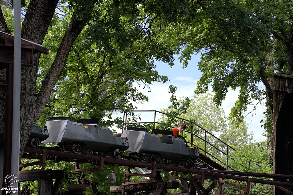 Mini Mine Train