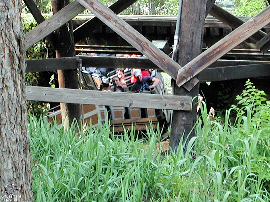 Runaway Mine Train