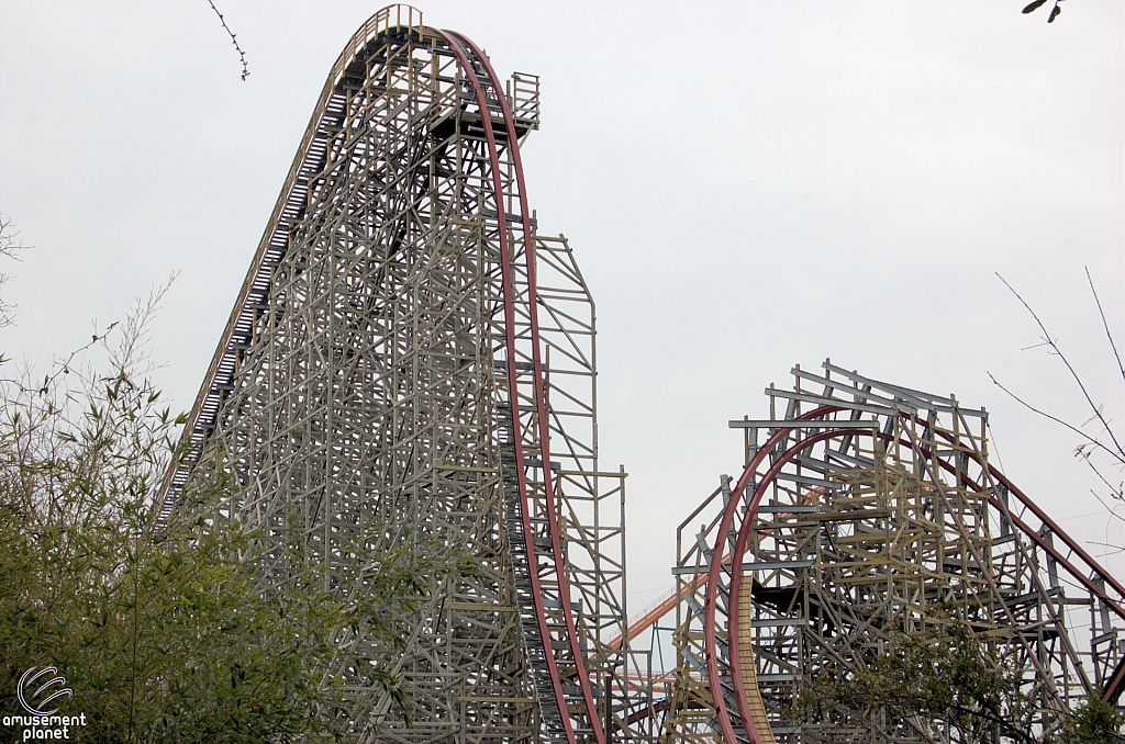 New Texas Giant