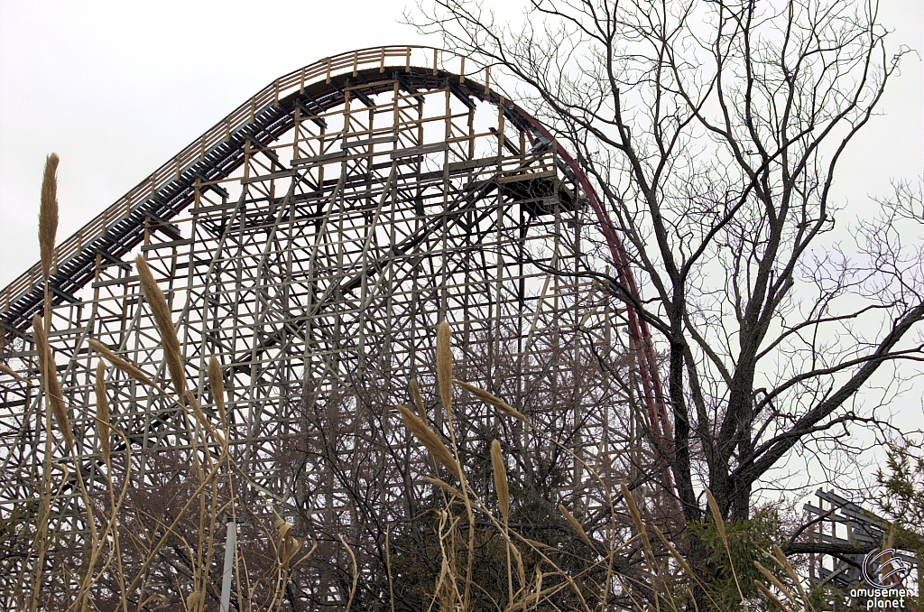 New Texas Giant