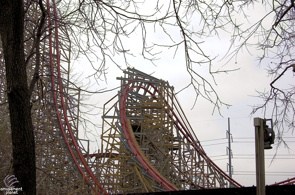 New Texas Giant