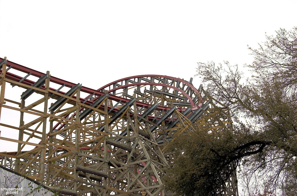 New Texas Giant