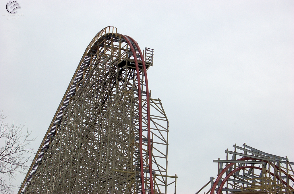 New Texas Giant