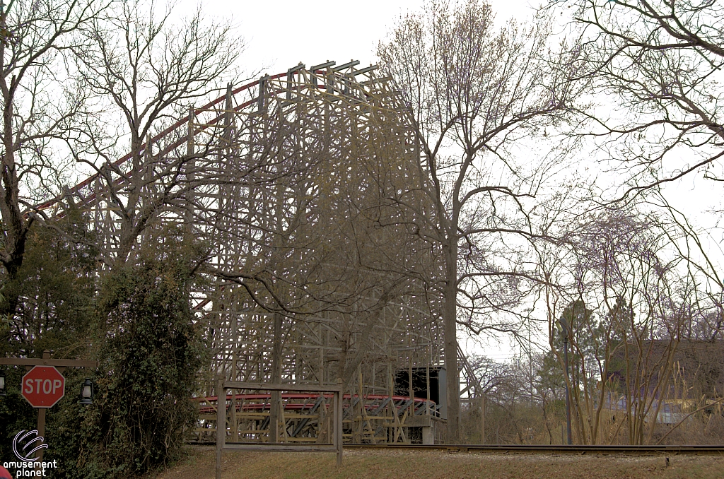 New Texas Giant