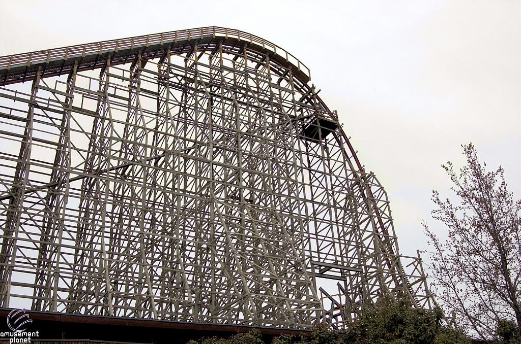 New Texas Giant