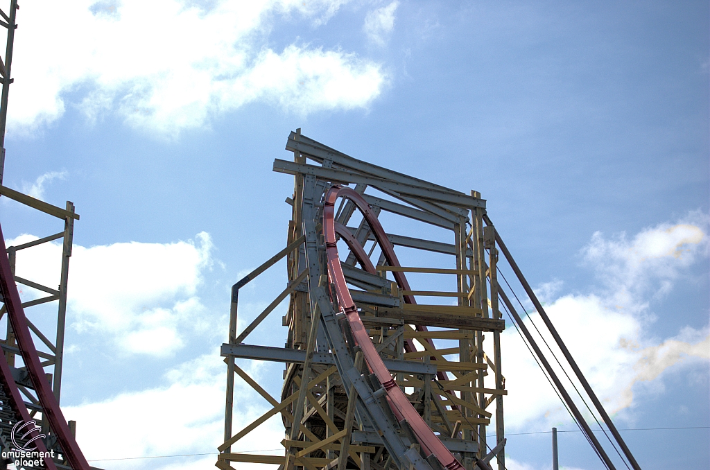 New Texas Giant