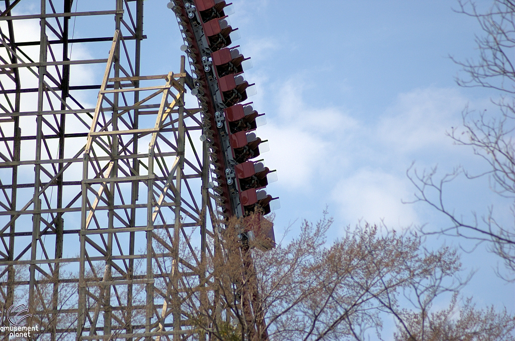 New Texas Giant