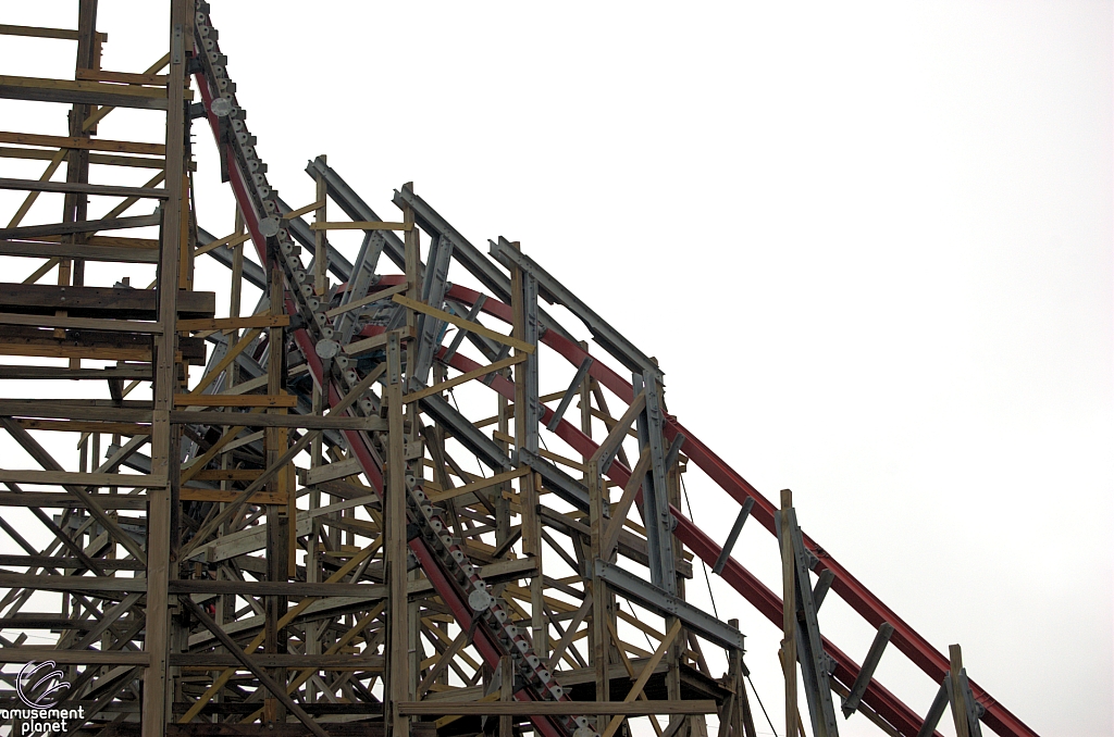 New Texas Giant