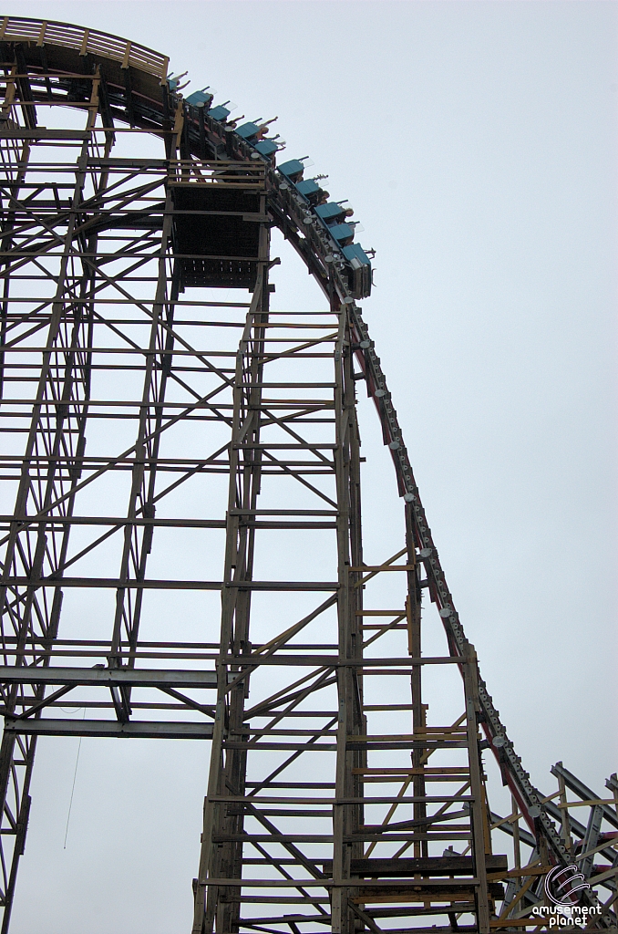 New Texas Giant