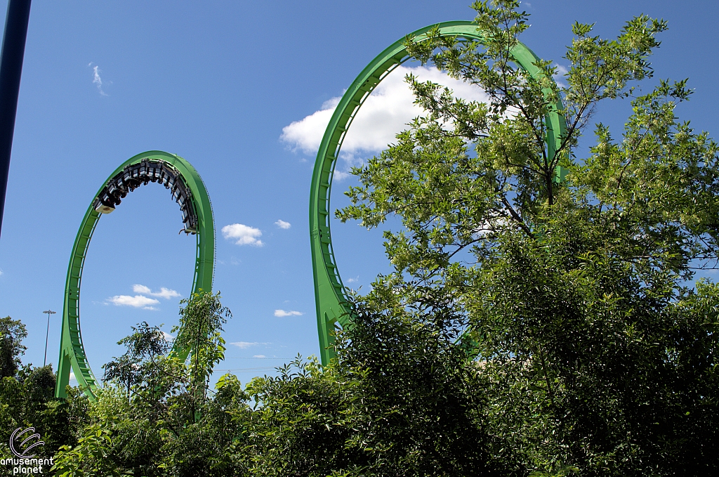 Shock Wave