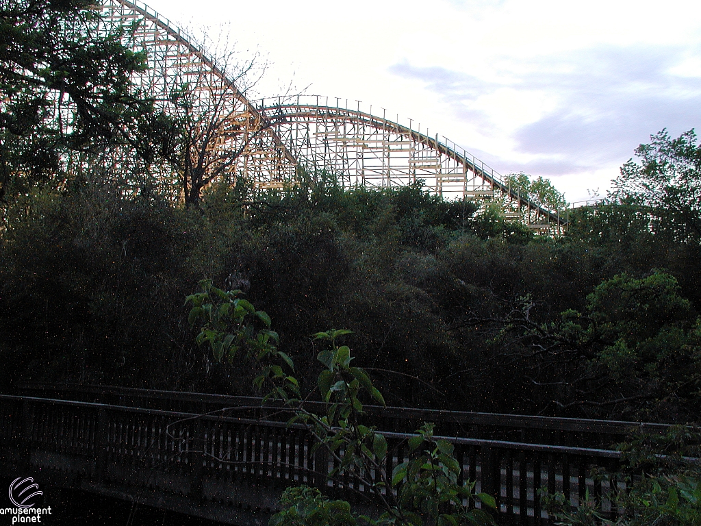 Texas Giant