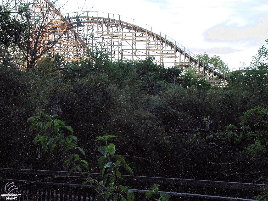 Texas Giant