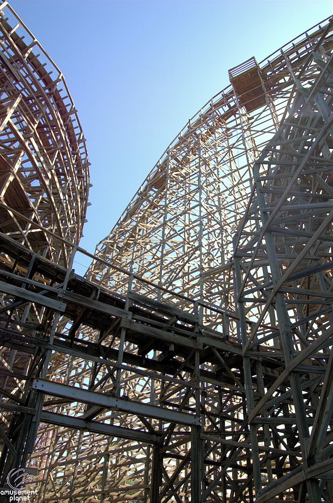 Texas Giant