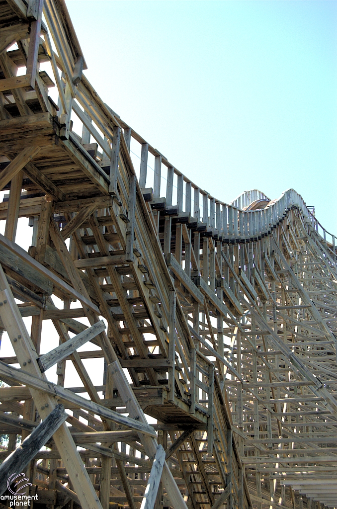 Texas Giant