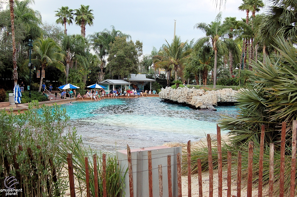 Dolphin Cove