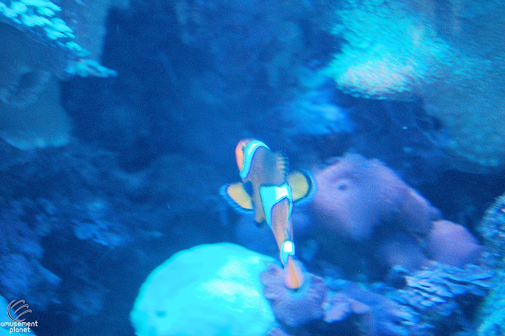 Journey to Atlantis Aquarium