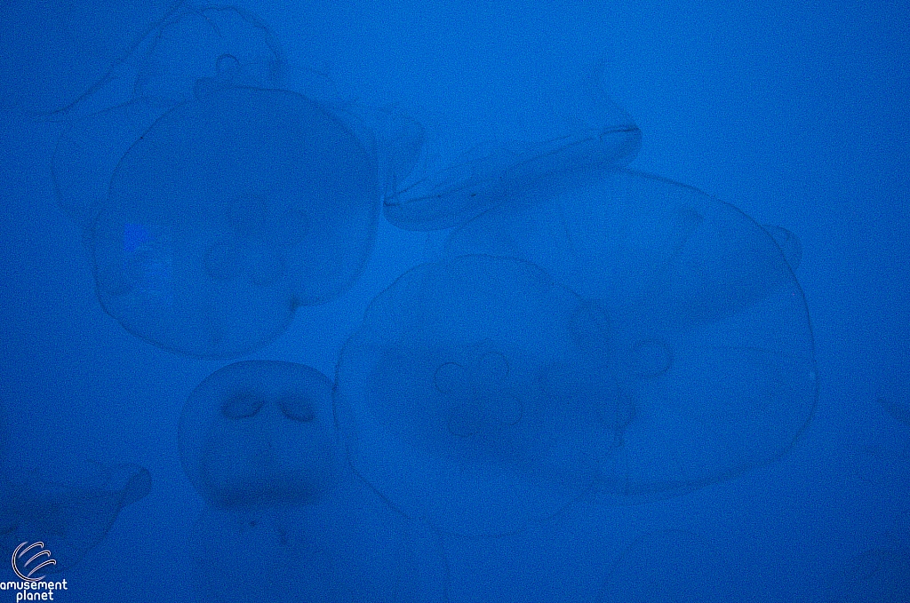 Journey to Atlantis Aquarium