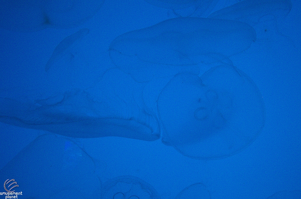Journey to Atlantis Aquarium