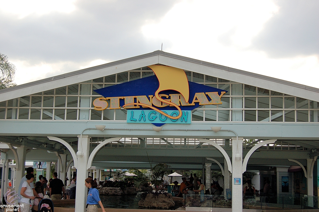 Sting Ray Lagoon