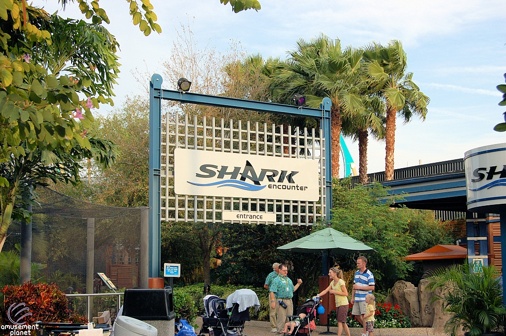 Shark Encounter