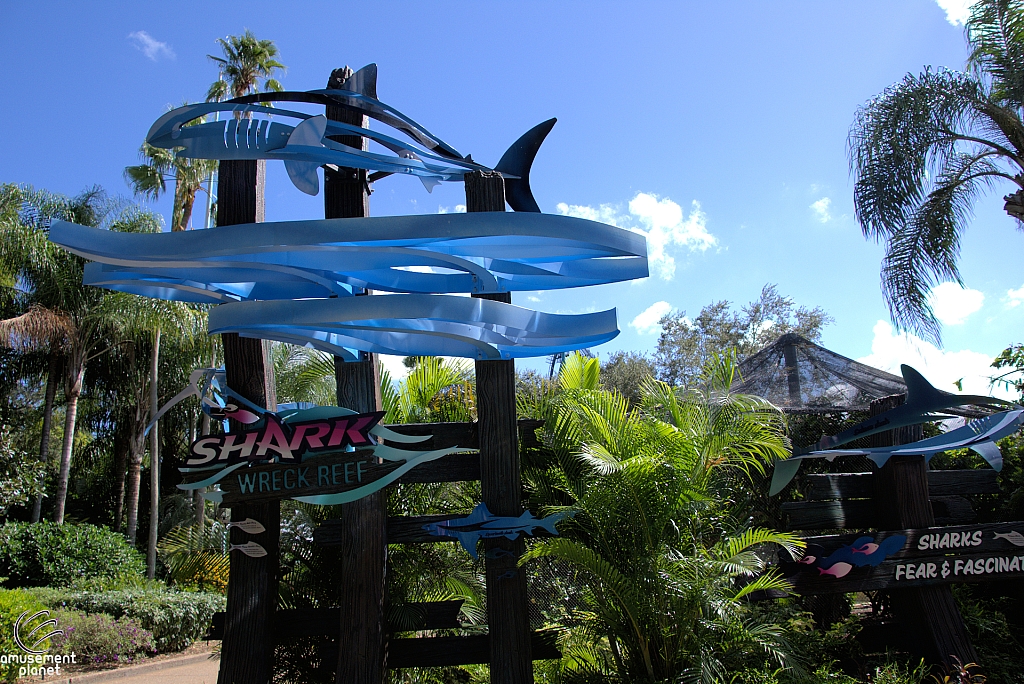 Shark Encounter