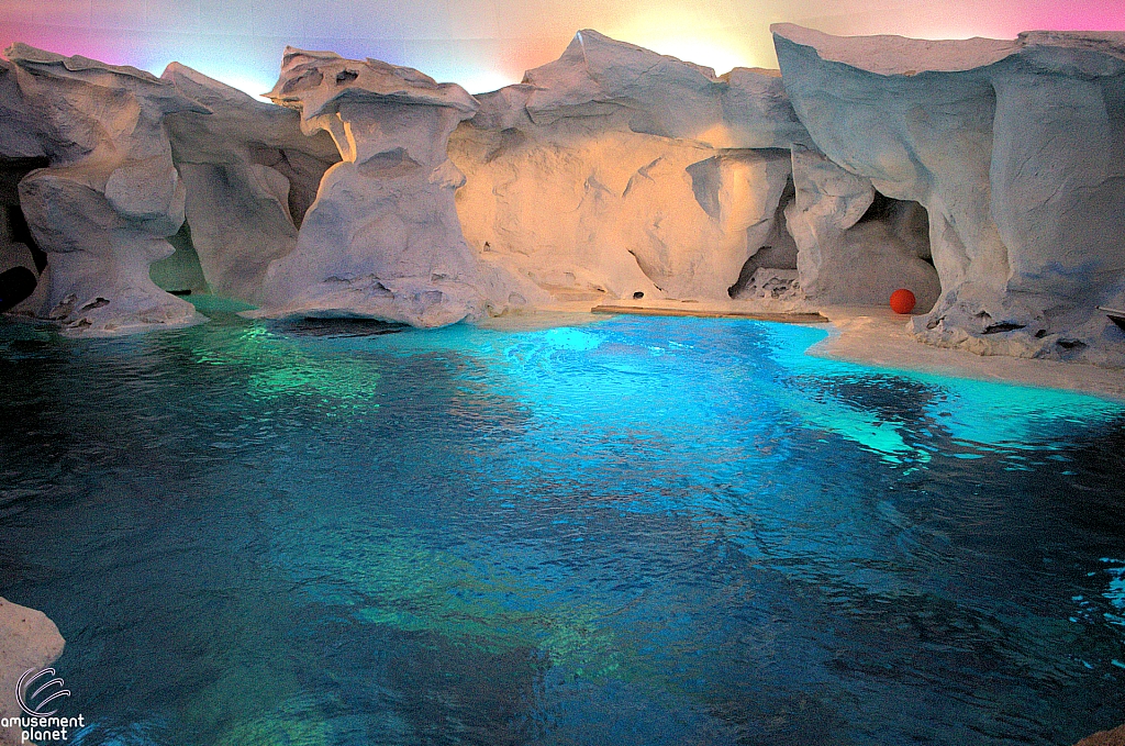Wild Arctic Aquarium