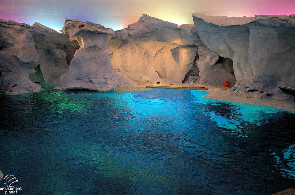 Wild Arctic Aquarium