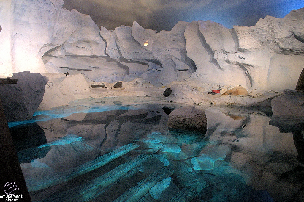 Wild Arctic Aquarium