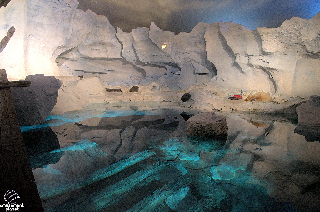 Wild Arctic Aquarium