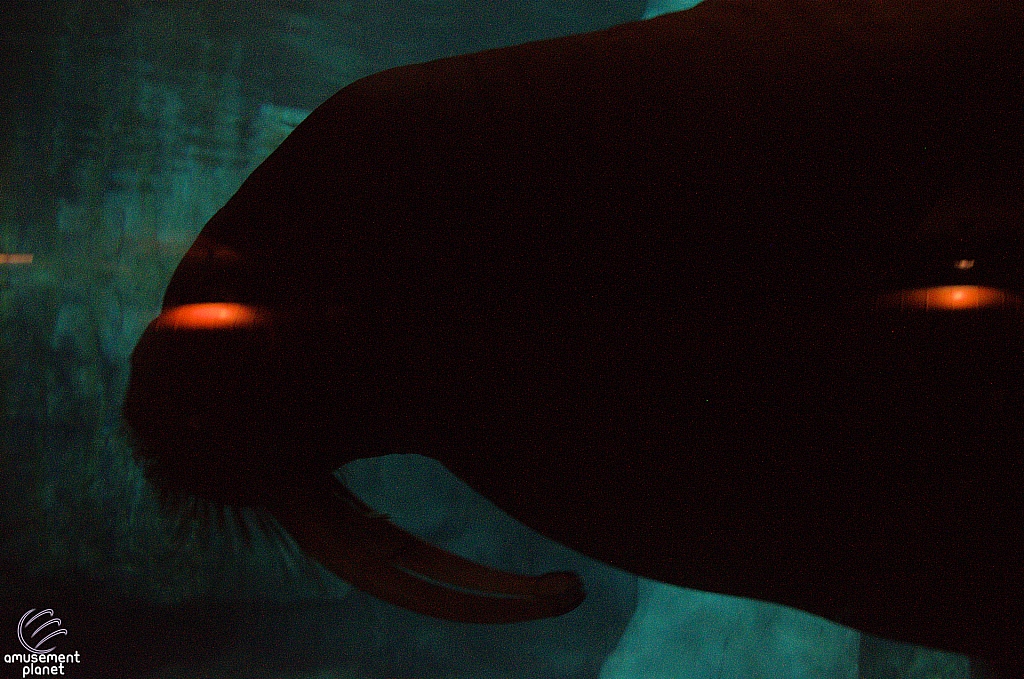Wild Arctic Aquarium