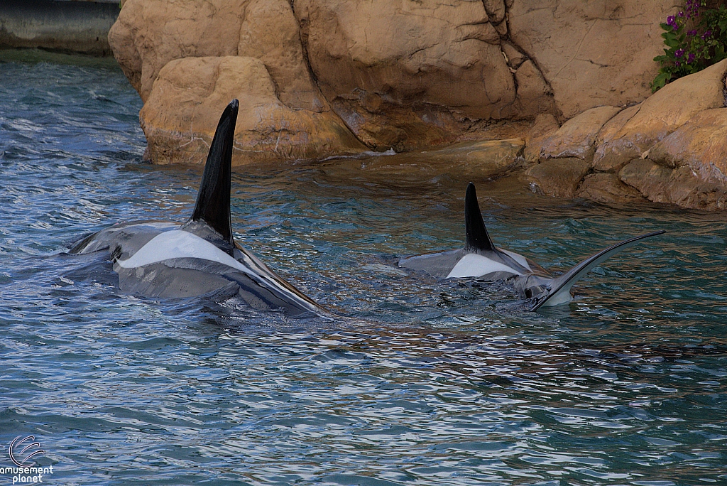 SeaWorld Orlando