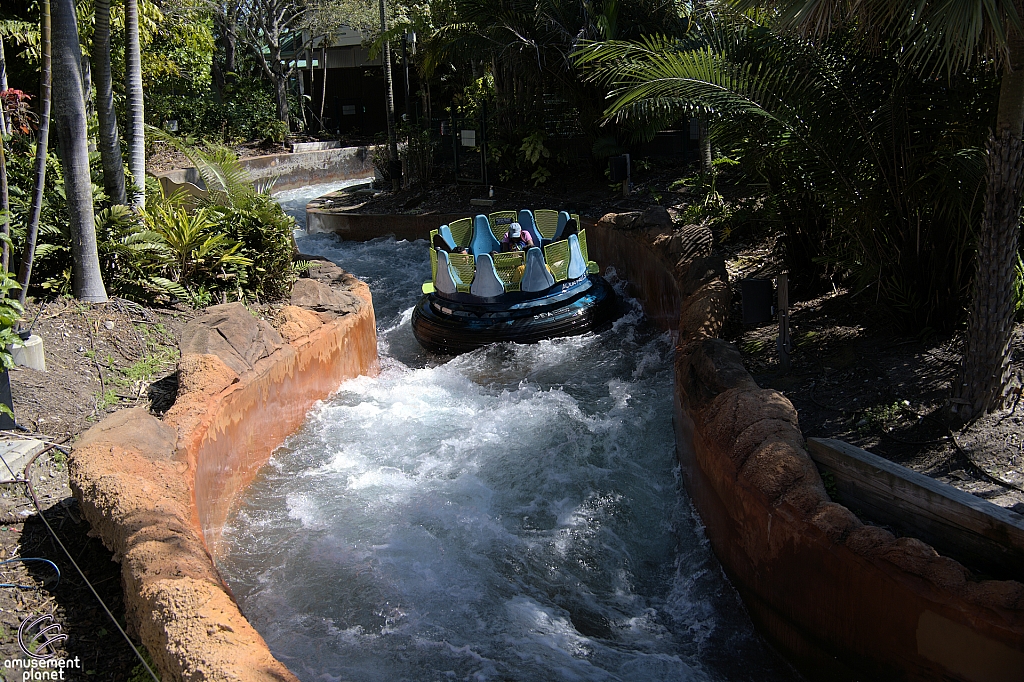 Infinity Falls