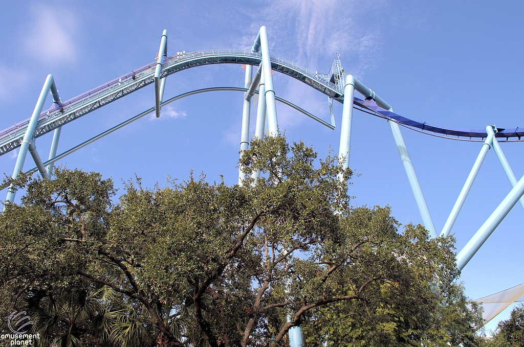 Manta
