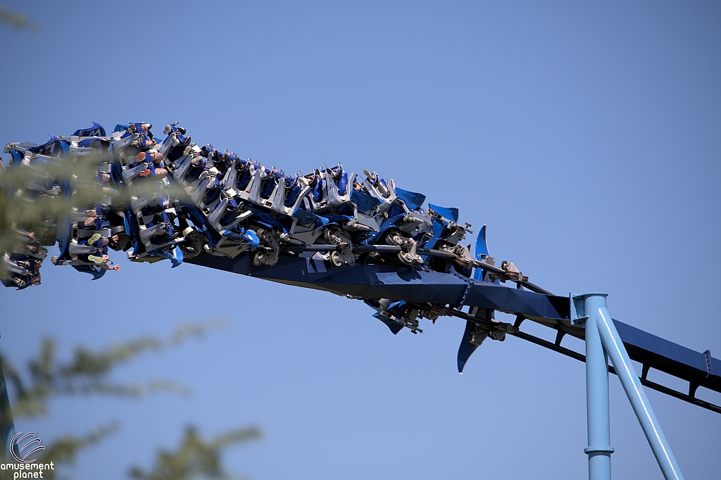 Manta