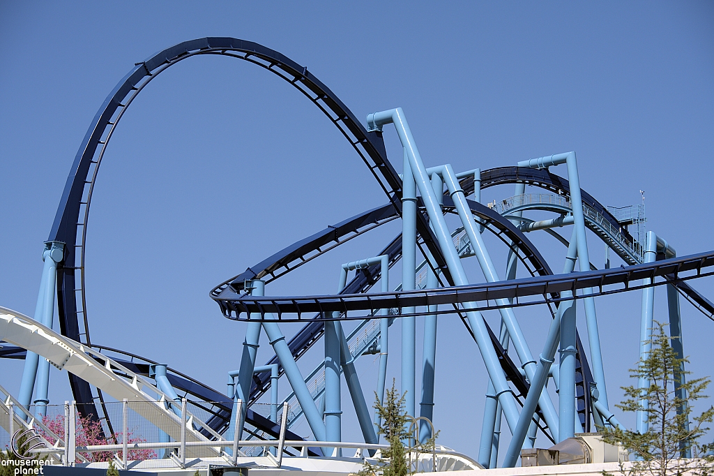 Manta