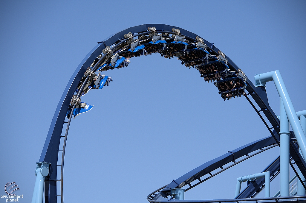 Manta