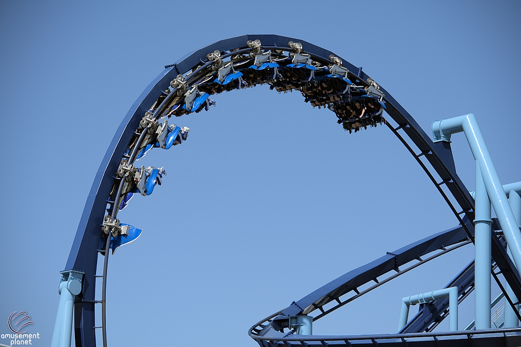 Manta