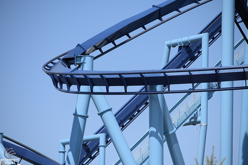 Manta