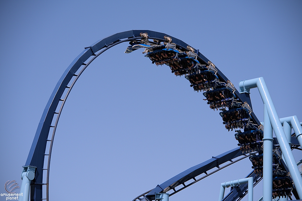 Manta