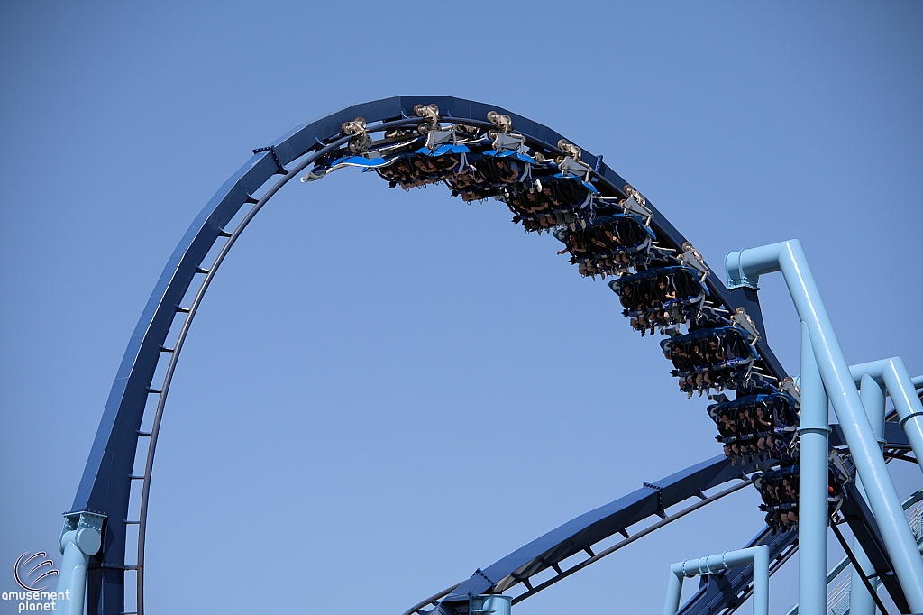 Manta