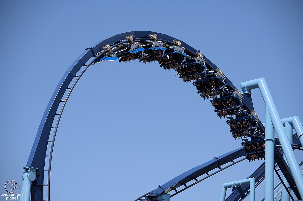 Manta
