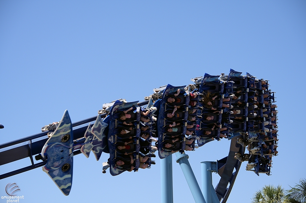 Manta