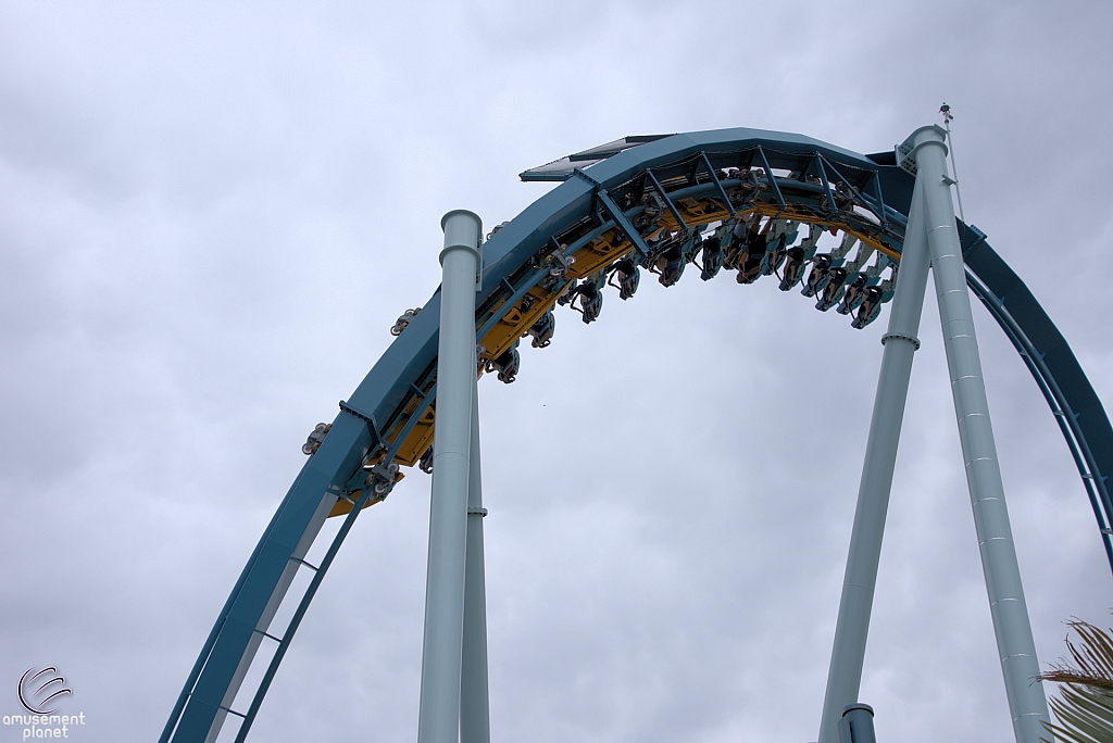 Pipeline: The Surf Coaster