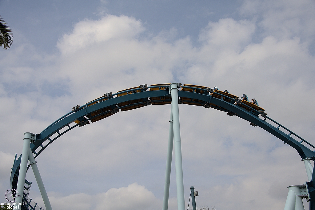 Pipeline: The Surf Coaster