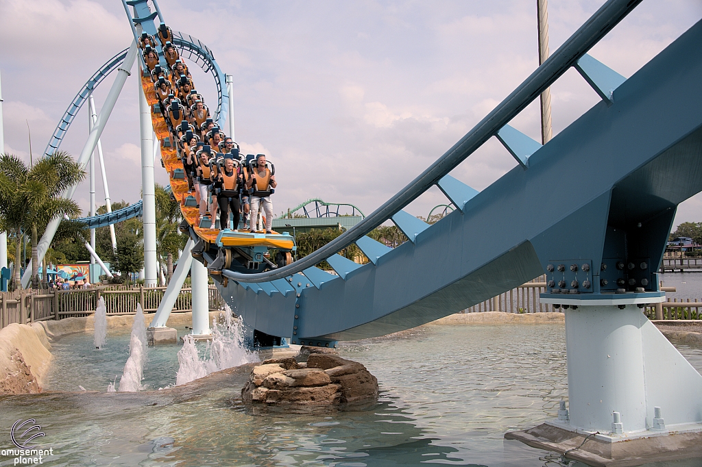 Pipeline: The Surf Coaster