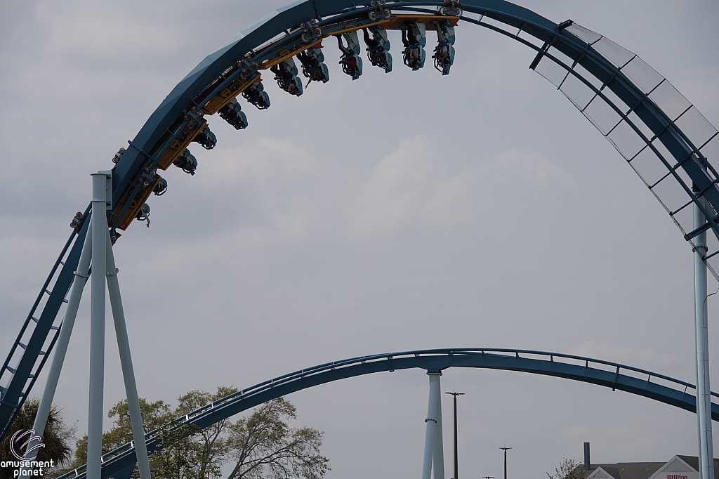 Pipeline: The Surf Coaster