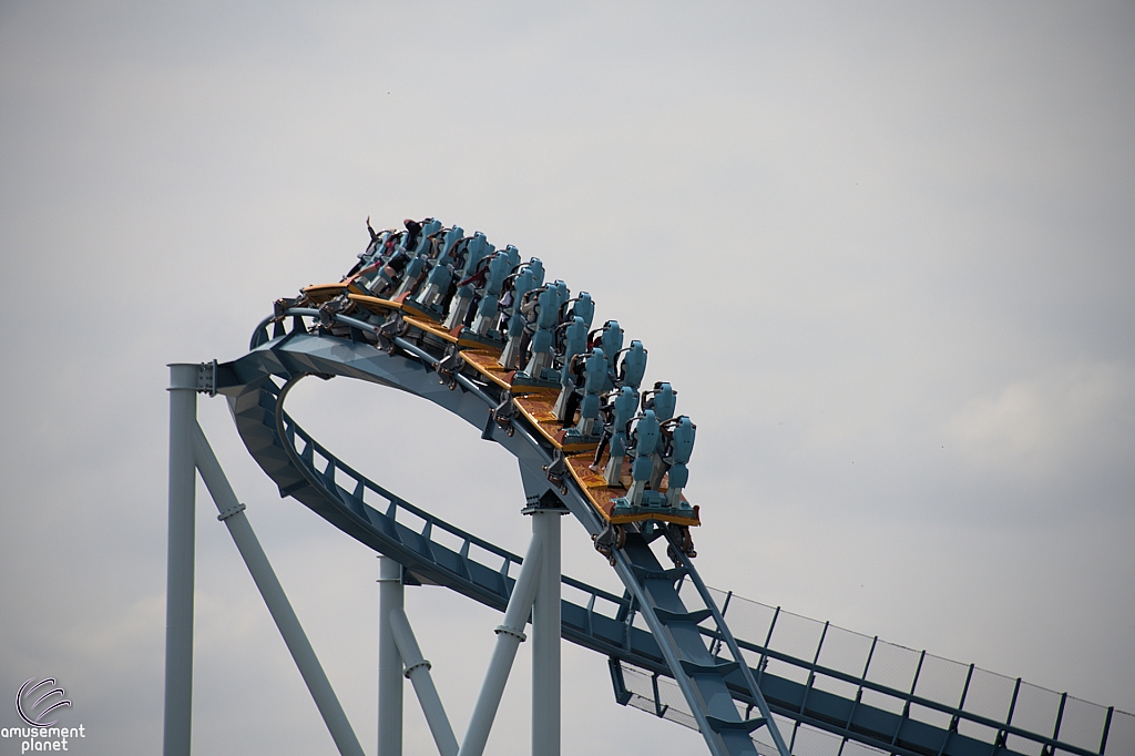 Pipeline: The Surf Coaster